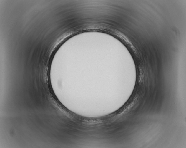 X0000112790786200910021058