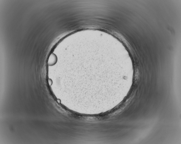 X0000112790787200910021058