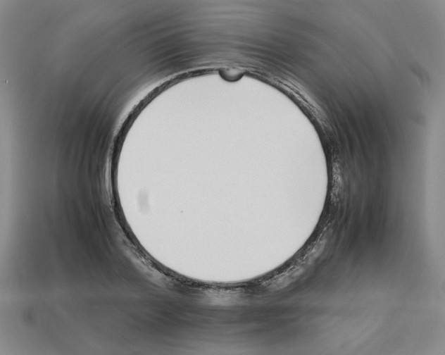 X0000112790788200910021058