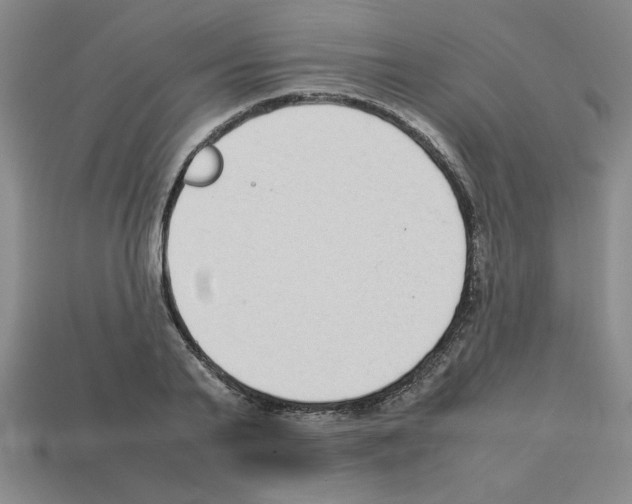 X0000112790791200910021058