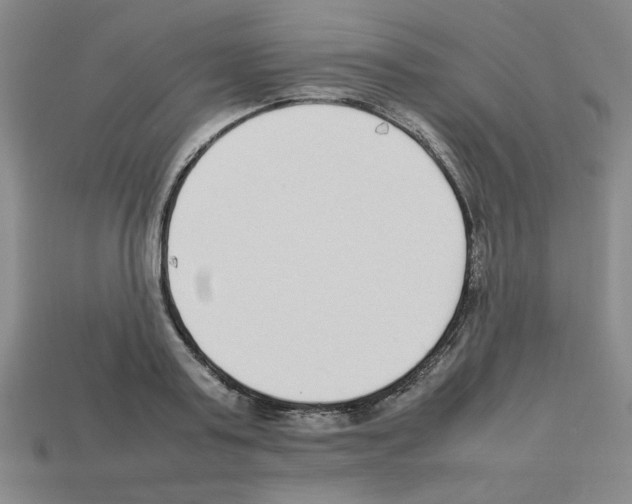 X0000112790795200910021058