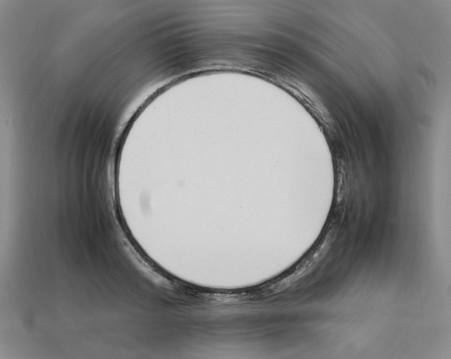 X0000112790796200910021058