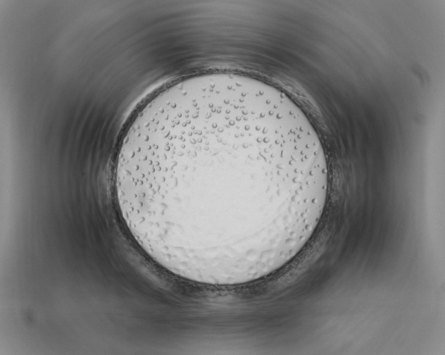 X0000112790798200910021058