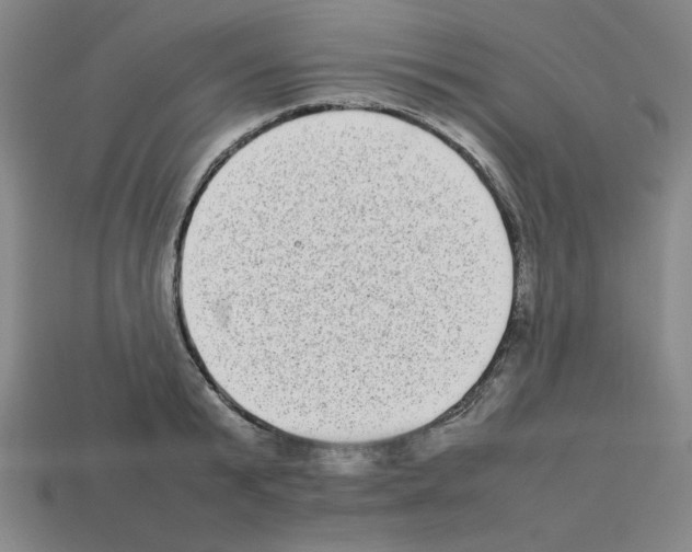 X0000112790799200910021058