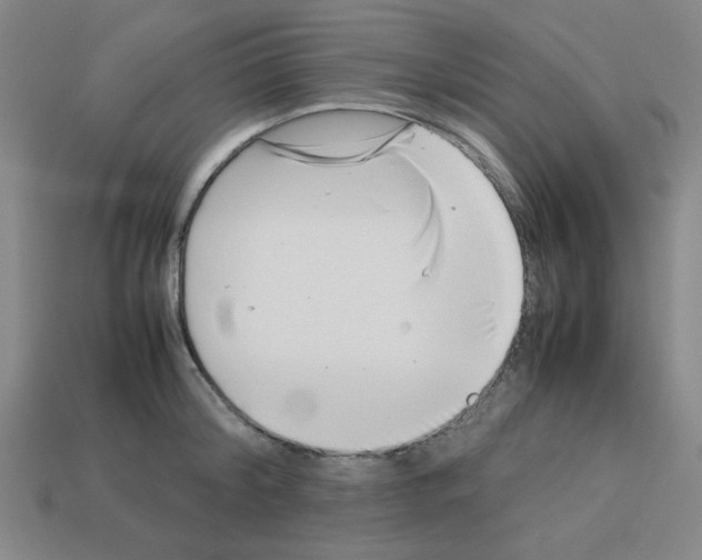 X0000112790804200910021058