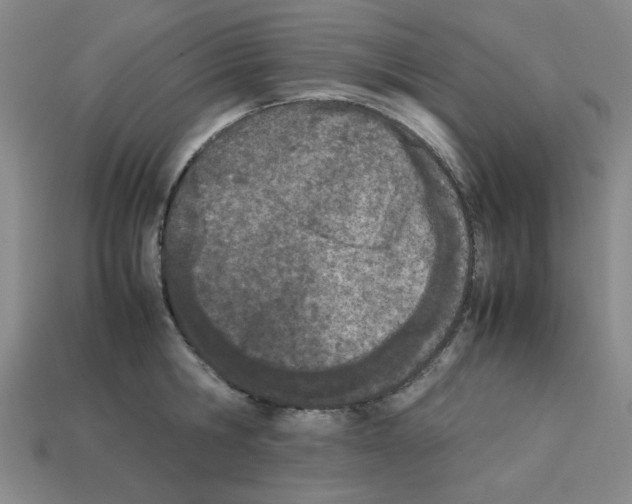 X0000112790806200910021058