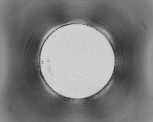 X0000112790808200910021058