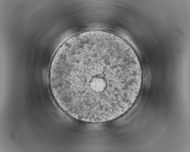 X0000112790810200910021058