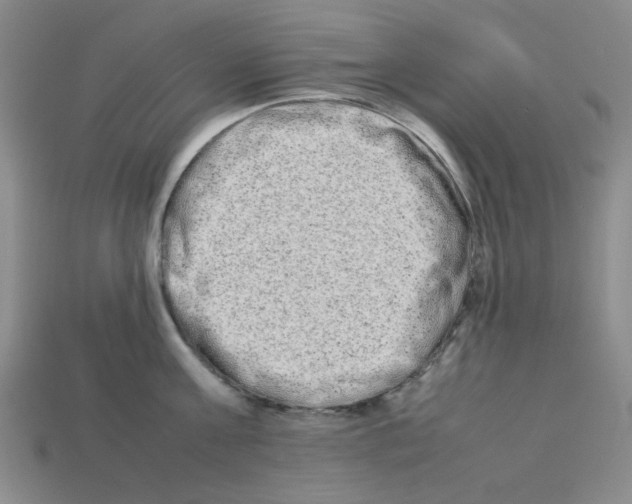 X0000112790811200910021058