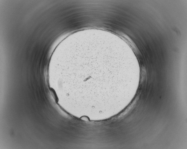 X0000112790812200910021058