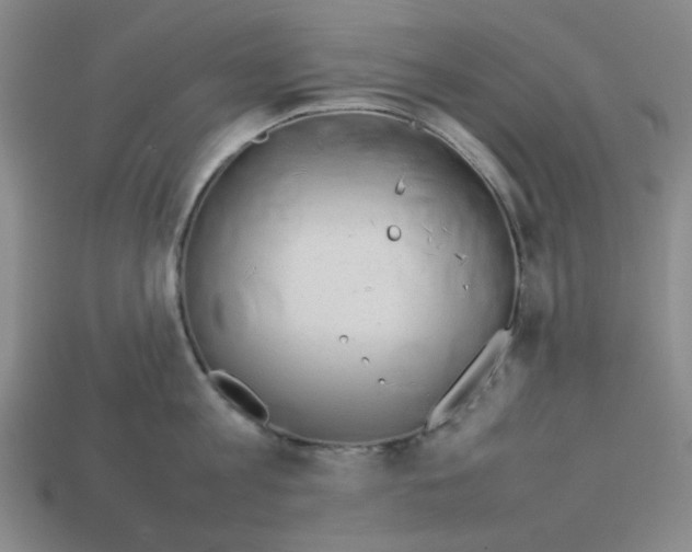 X0000112790813200910021058