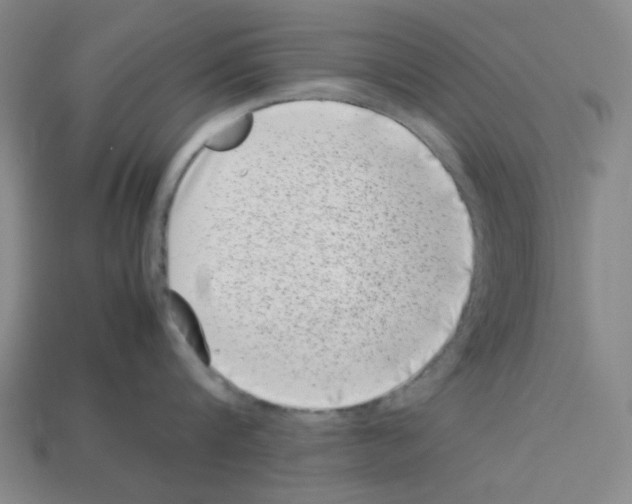 X0000112790816200910021058