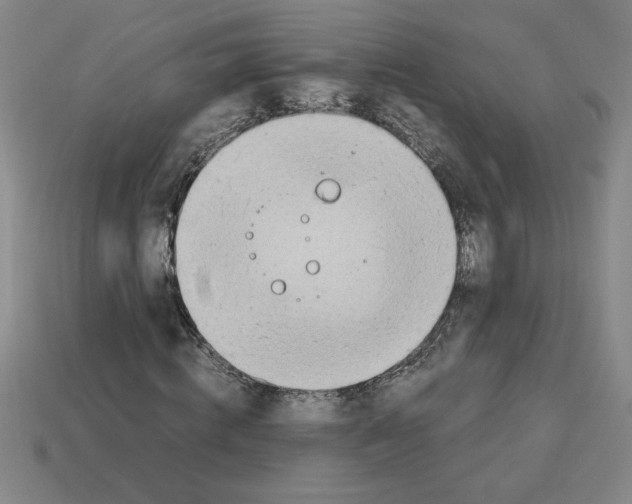 X0000112790820200910021057