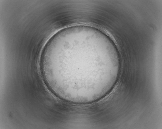 X0000112790828200910021058