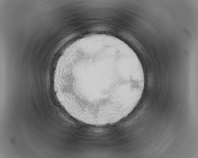 X0000112790829200910021058