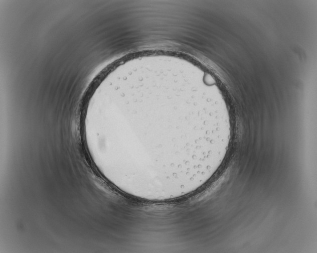 X0000112790830200910021058