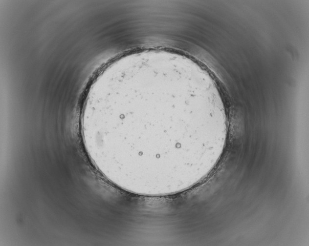 X0000112790832200910021058