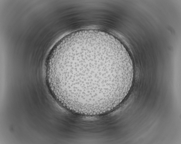 X0000112790835200910021058