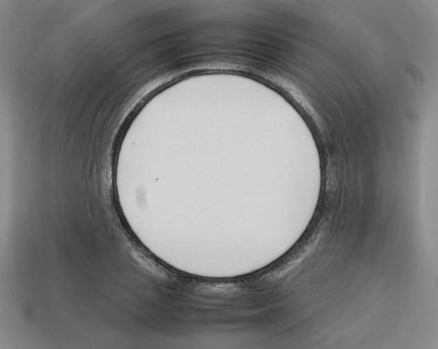 X0000112790837200910021058