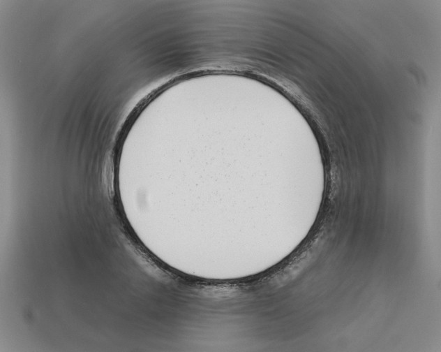 X0000112790838200910021058