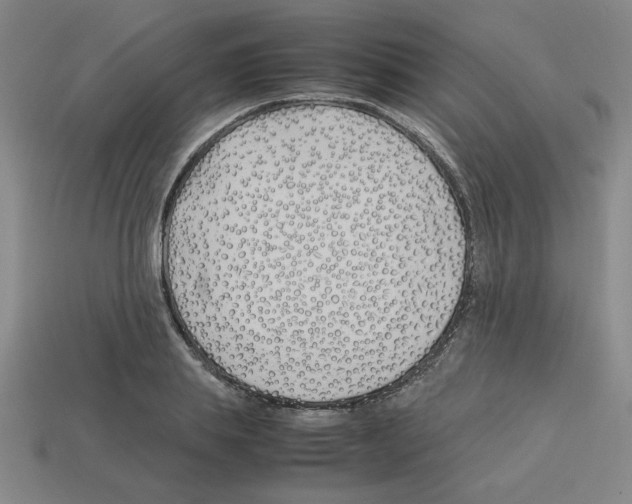 X0000112790839200910021058