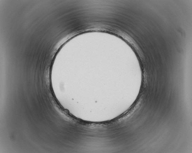 X0000112790842200910021058