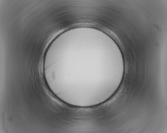 X0000112790844200910021058