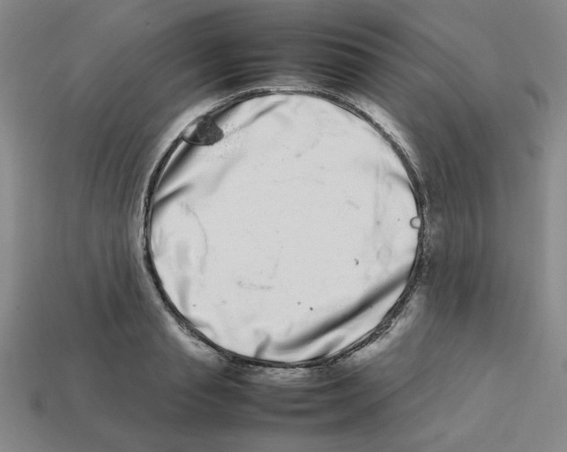 X0000112790845200910021058