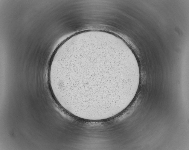 X0000112790846200910021058