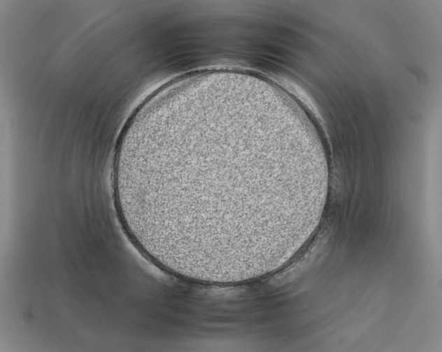 X0000112790847200910021058