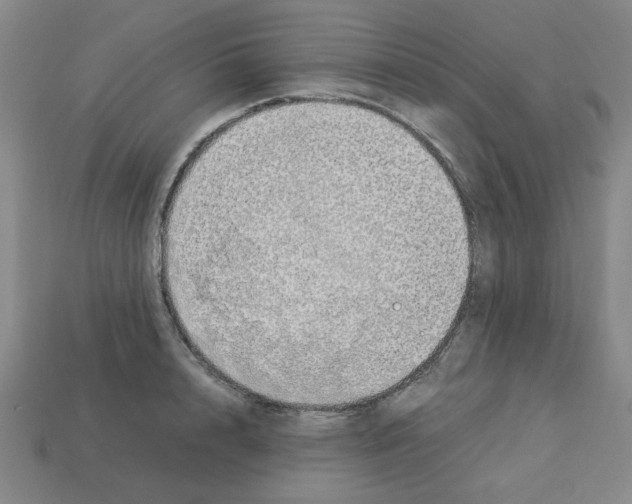 X0000112790848200910021058