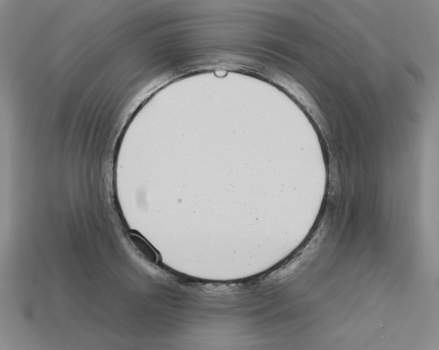 X0000112790850200910021058