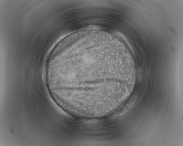 X0000112790851200910021058