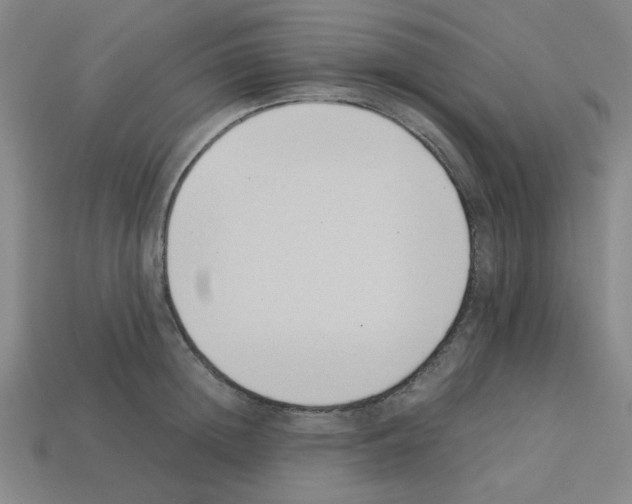 X0000112790852200910021058