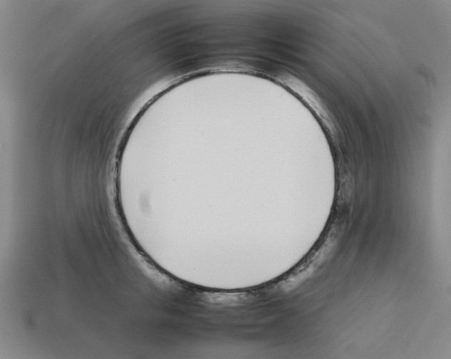 X0000112790853200910021058