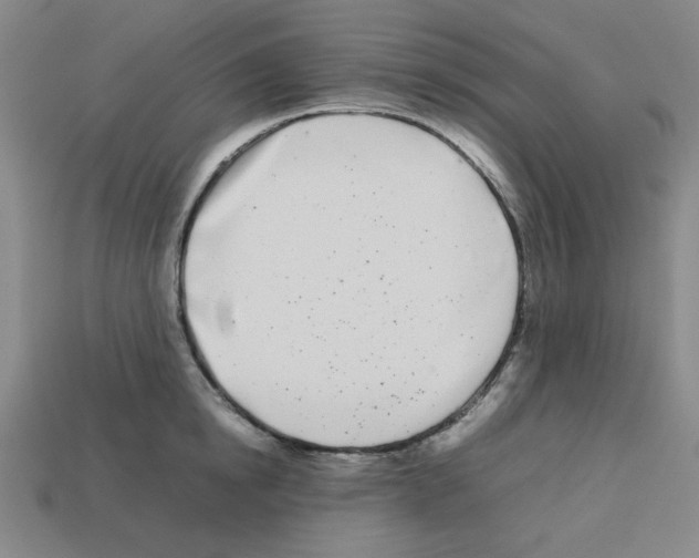 X0000112790854200910021058