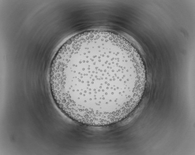 X0000112790855200910021058