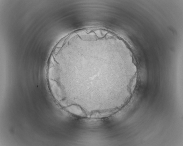 X0000112790856200910021058