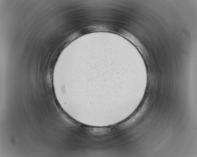 X0000112790857200910021058