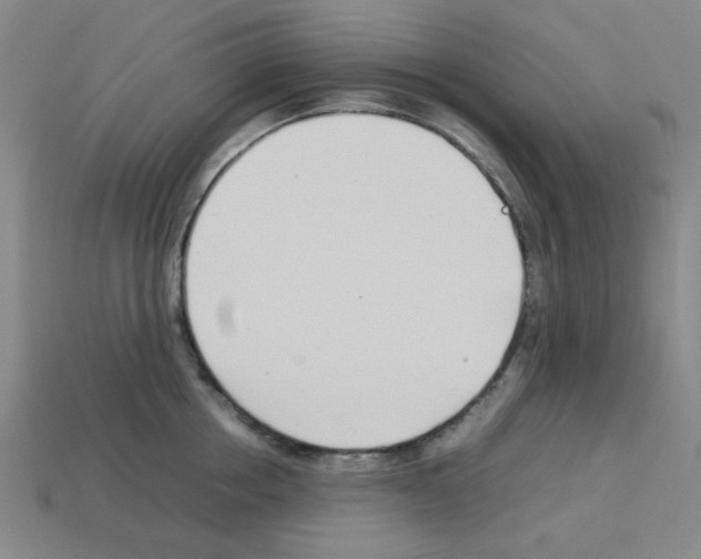 X0000112790858200910021058