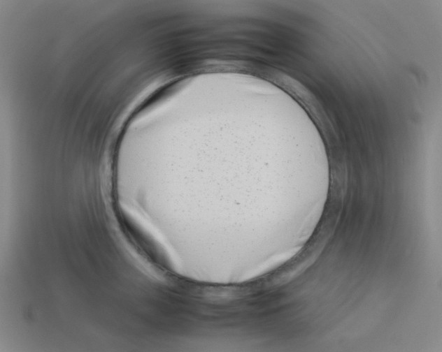 X0000112790859200910021058