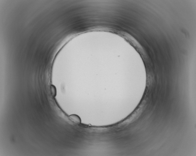 X0000112790860200910021058