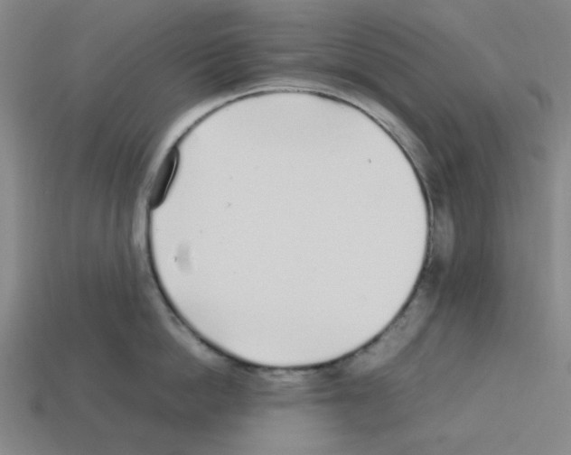 X0000112790862200910021058