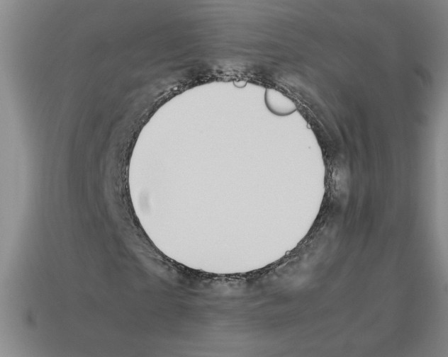 X0000112790865200910021057