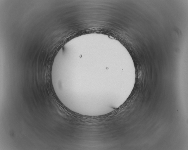 X0000112790868200910021057