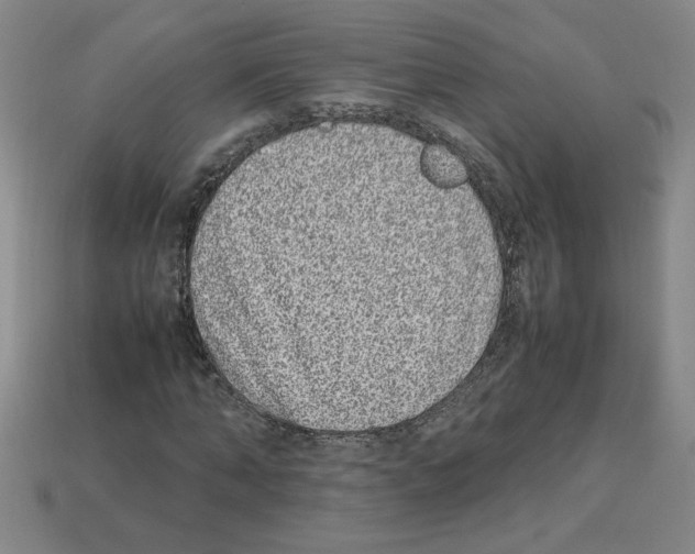 X0000112790870200910021057