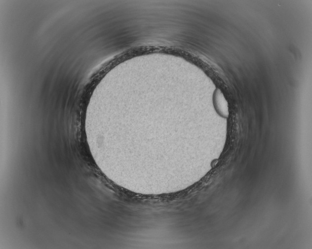 X0000112790872200910021057