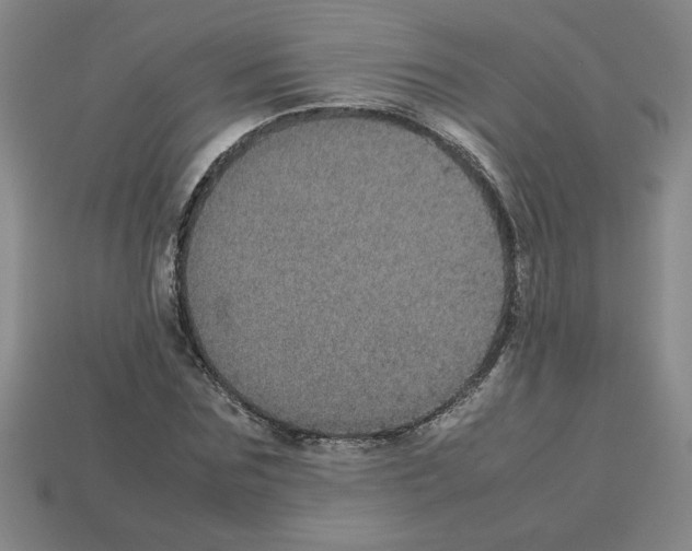 X0000112790875200910021057