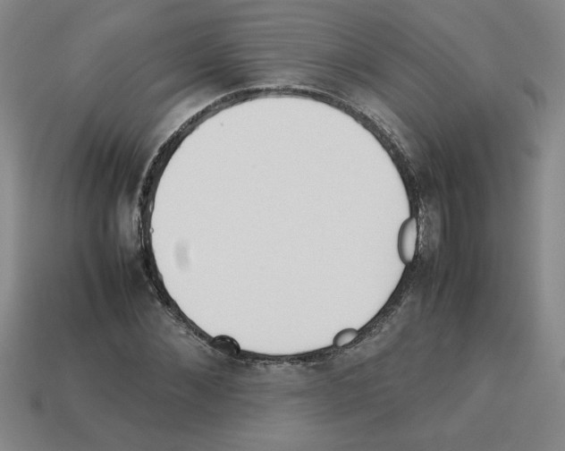 X0000112790876200910021057