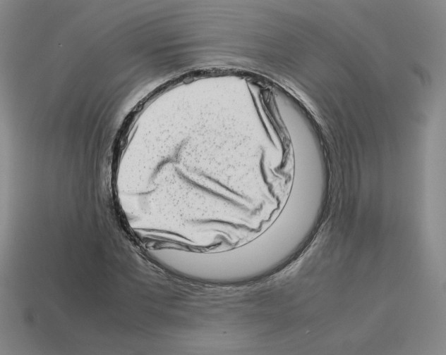 X0000112790877200910021057